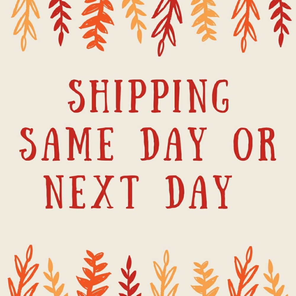 Shipping same day or next day